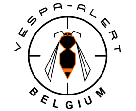 Qui sommes-nous - Vespa Alert Belgium
