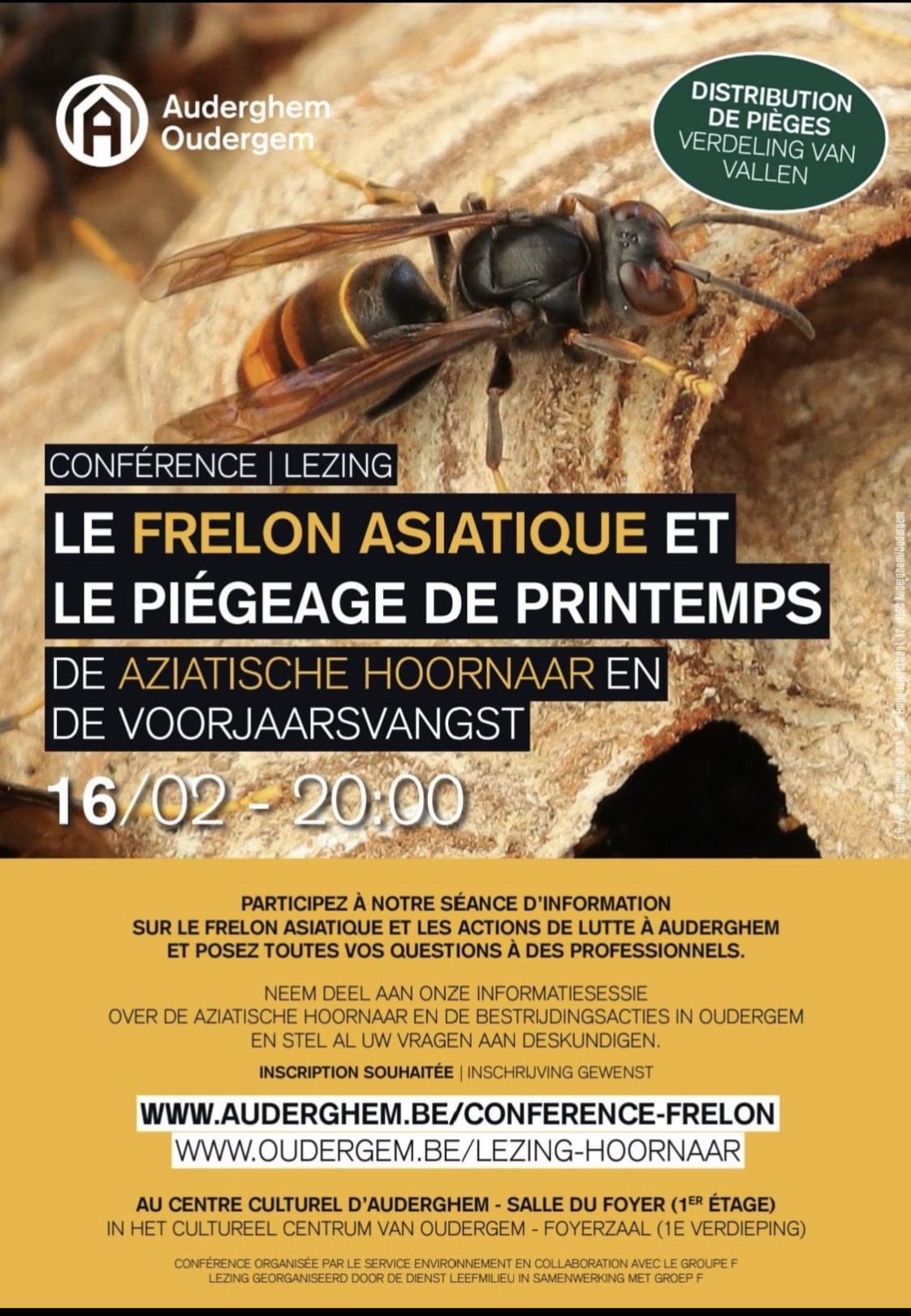 Affiche : Le frelon asiatique et le piégeage de printemps — Conférence