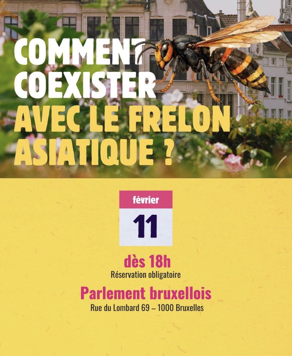 Affiche : Colloque Parlement Bxl