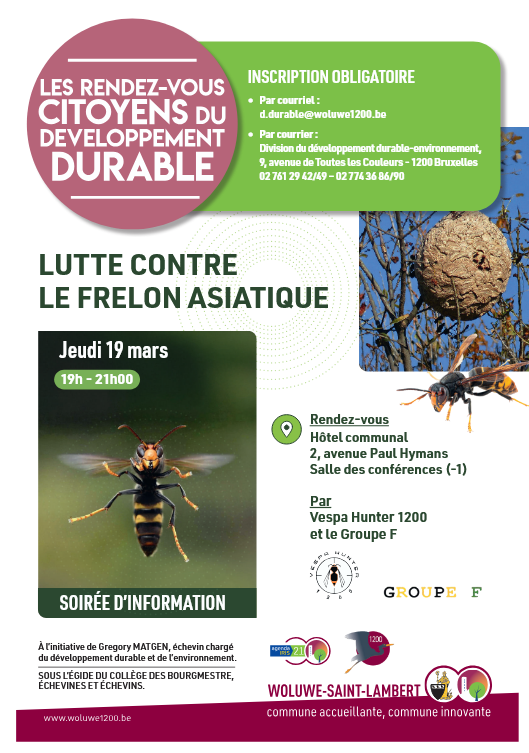 Affiche : Soirée d’information pour la lutte contre le frelon asiatique