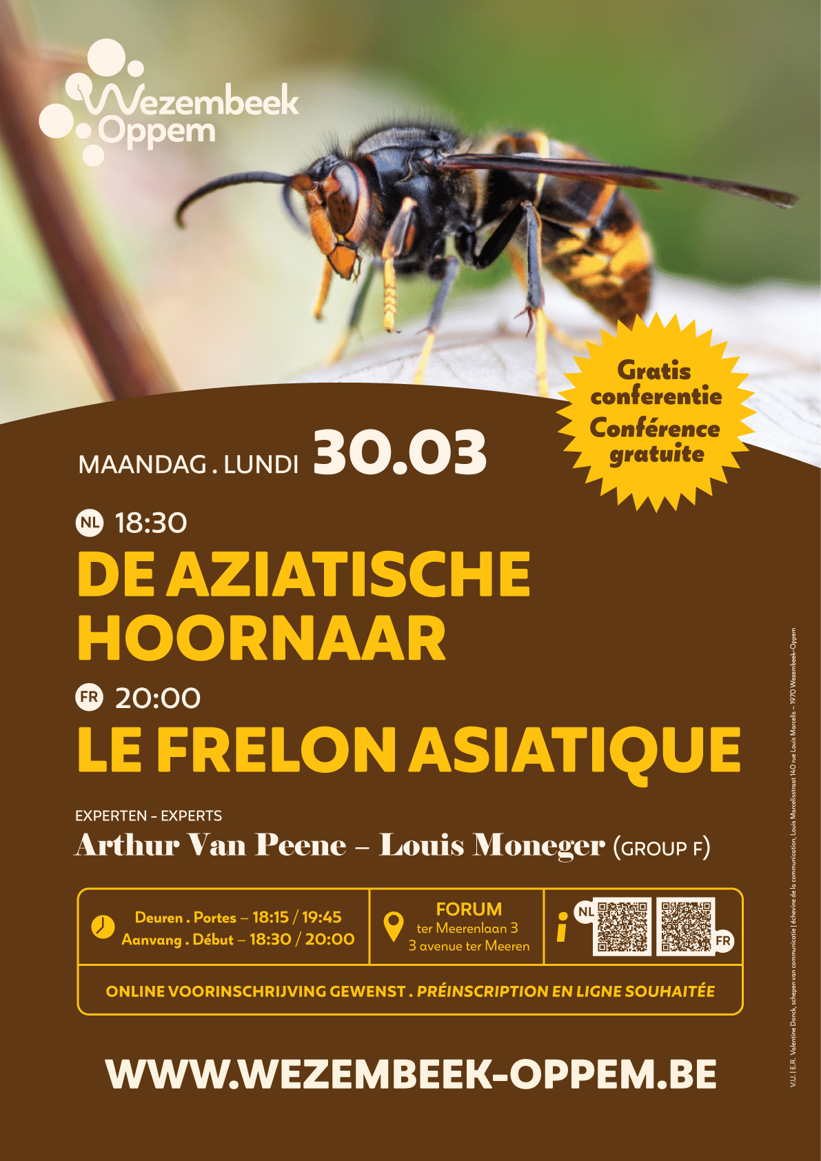 Affiche : Soirée d’information pour la lutte contre le frelon asiatique